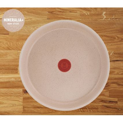 Tefal - 17 dalių INGENIO DELIGHT indų rinkinys