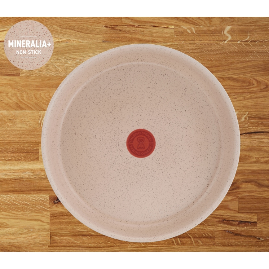 Tefal - 17 dalių INGENIO DELIGHT indų rinkinys