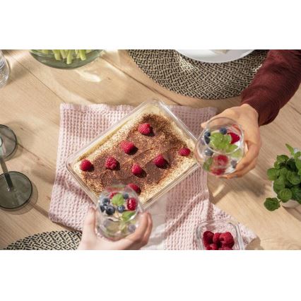 Tefal - 2 l maisto indelis MSEAL GLASS raudonas/stiklas