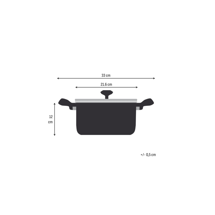 Tefal - 20 cm EXTREME puodas su dangčiu