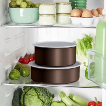 Tefal - 4 dalių virtuvės indų rinkinys INGENIO XL FORCE