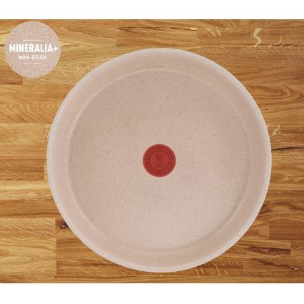 Tefal - 6 dalių indų rinkinys INGENIO DELIGHT