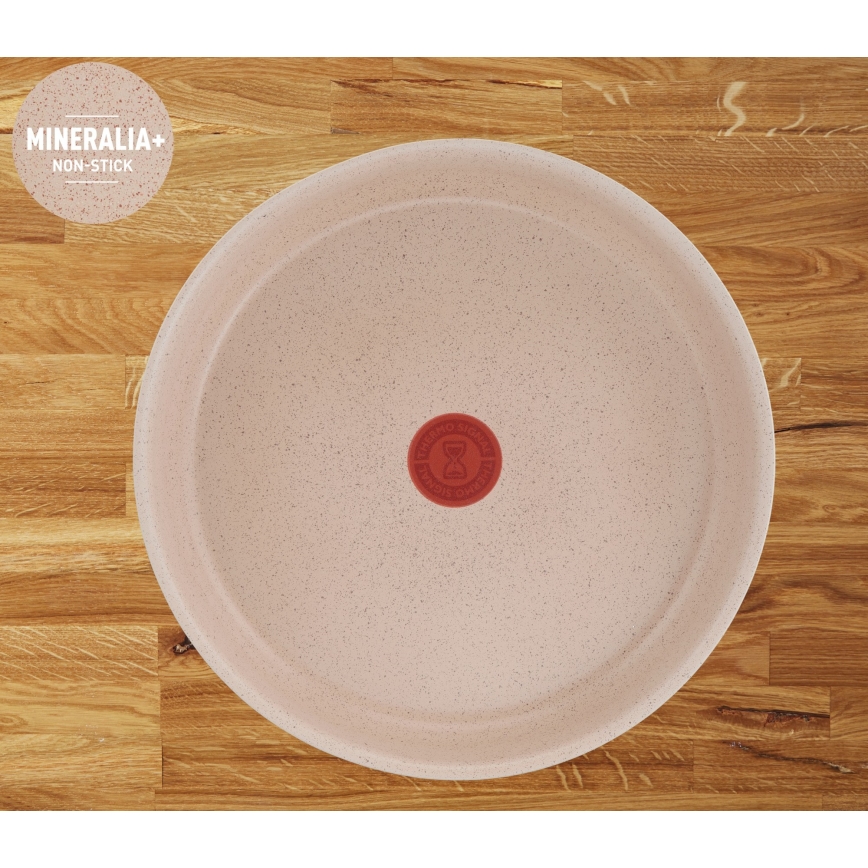 Tefal - 6 dalių INGENIO DELIGHT indų rinkinys