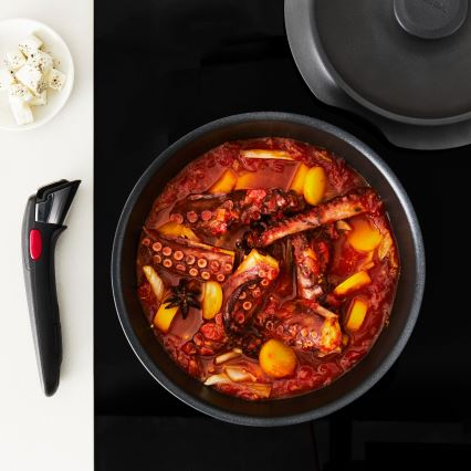 Tefal - 6 dalių INGENIO INSPIRATION indų rinkinys