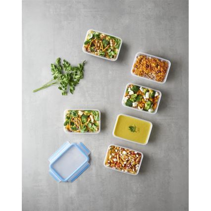 Tefal – 6 vnt. maisto indelių rinkinys 0,8 l MASTER SEAL FRESH, mėlynas