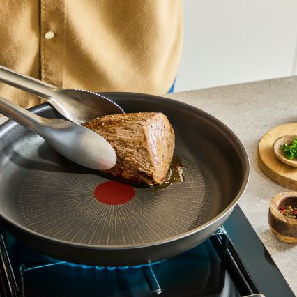 Tefal - 8 dalių INGENIO Excellence Fusion indų rinkinys