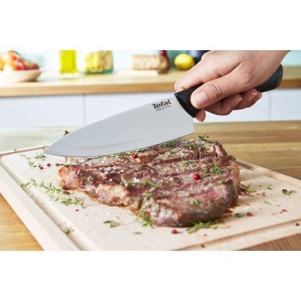 Tefal - ESSENTIAL peilių rinkinys, 3 vnt.