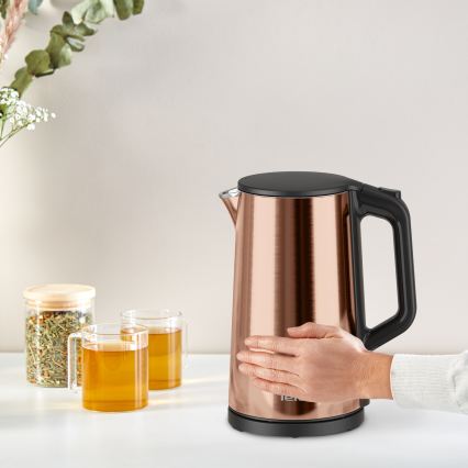 Tefal - greitai užvirinantis elektrinis virdulys 1,5 l, 2000 W / 230 V