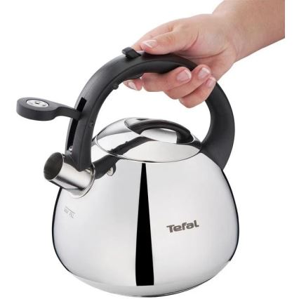 Tefal - Indukcinis virdulys 2,7 l nerūdijantis