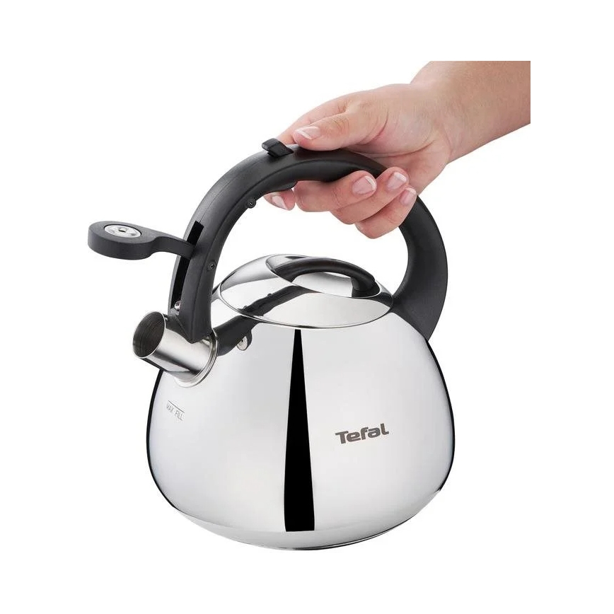 Tefal - Indukcinis virdulys 2,7 l nerūdijantis