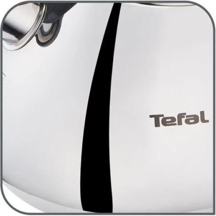 Tefal - Indukcinis virdulys 2,7 l nerūdijantis