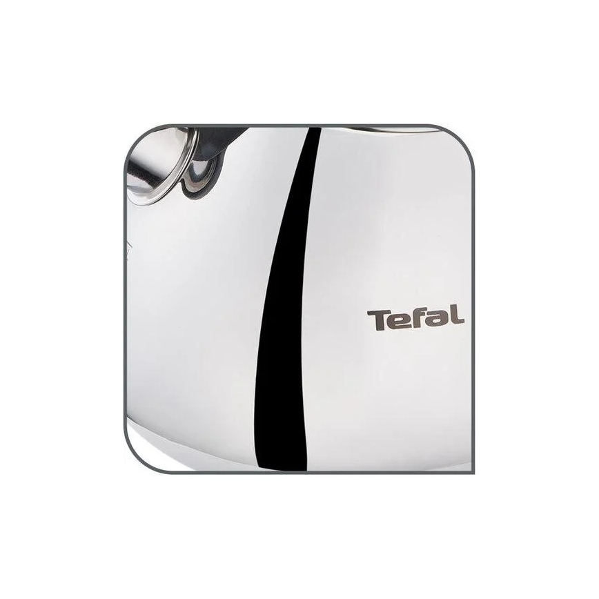 Tefal - Indukcinis virdulys 2,7 l nerūdijantis