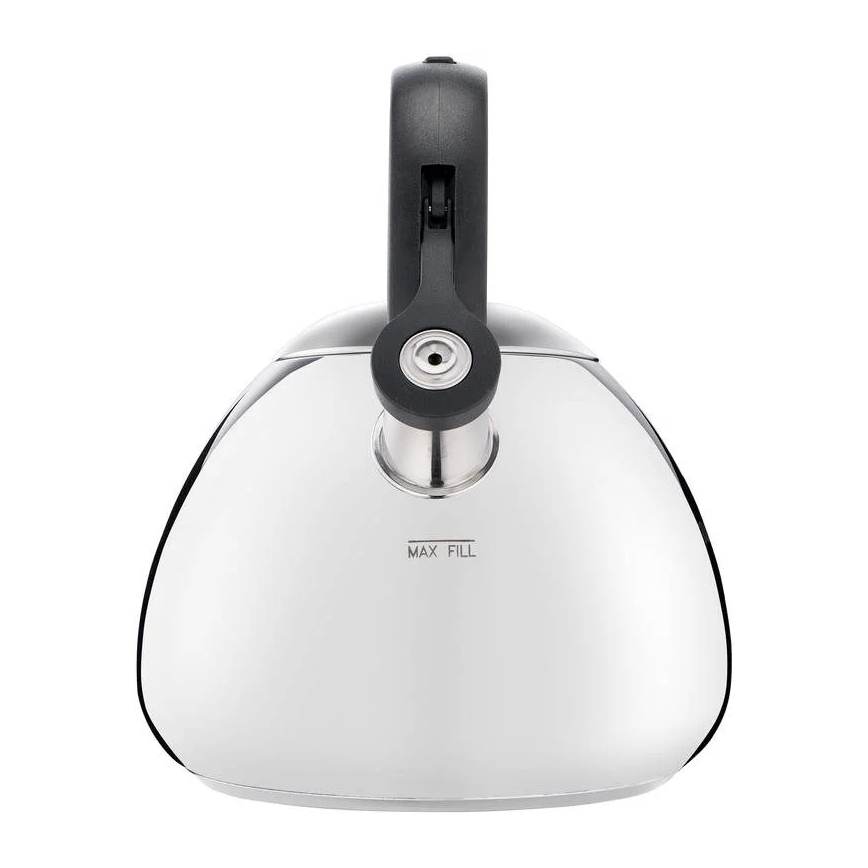 Tefal - Indukcinis virdulys 2,7 l nerūdijantis