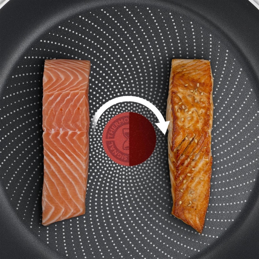 Tefal - Keptuvė DELICIOUS 24 cm