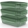 Tefal - KOMPLEKTAS 3x Maisto dėžutė 0,8 l MASTER SEAL ECO žalia