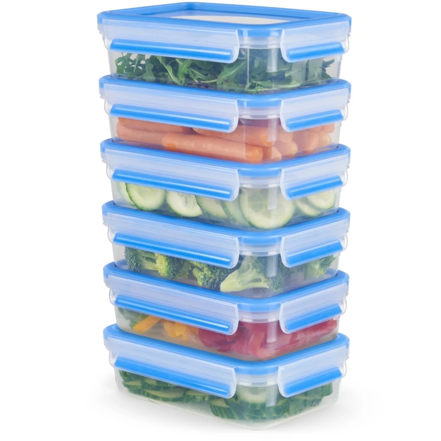 Tefal - KOMPLEKTAS 6x Maisto dėžutė 0,8 l MASTER SEAL FRESH mėlyna