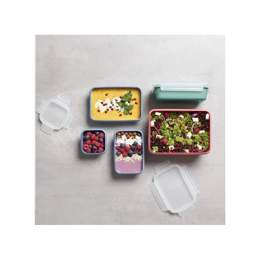 Tefal - Maisto dėžutė 0,55 l MSEAL COLOR rausva