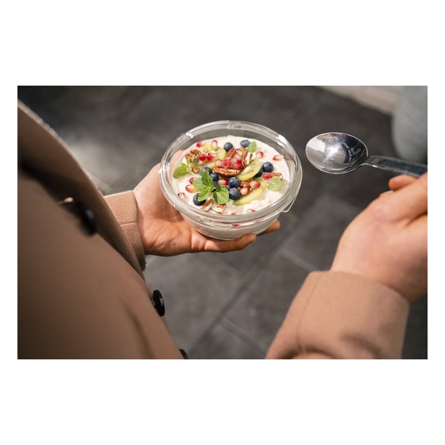 Tefal - Maisto dėžutė 0,6 l MSEAL GLASS raudona/stiklas
