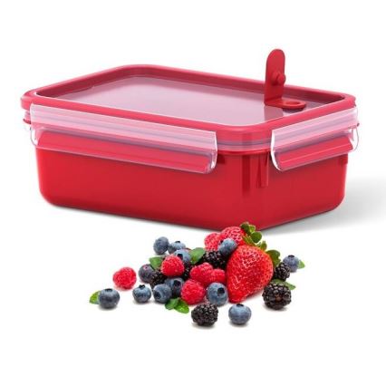 Tefal - Maisto indelis 0,8 l MASTER SEAL MICRO raudonas