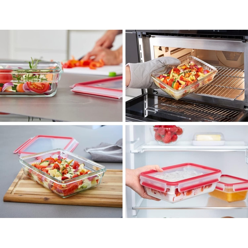 Tefal - Maisto indas 1,3 l MSEAL GLASS raudonas/stiklas