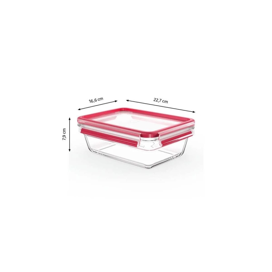 Tefal - Maisto indas 1,3 l MSEAL GLASS raudonas/stiklas