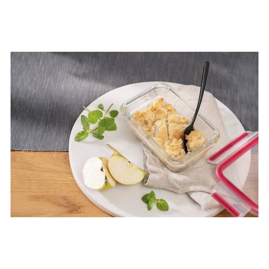 Tefal - Maisto indelis 0,45 l MSEAL GLASS raudonas/stiklas