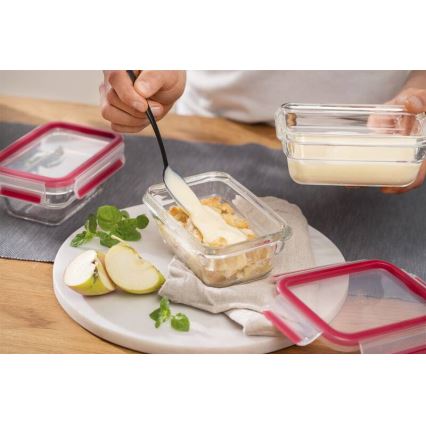 Tefal - Maisto indelis 0,45 l MSEAL GLASS raudonas/stiklas
