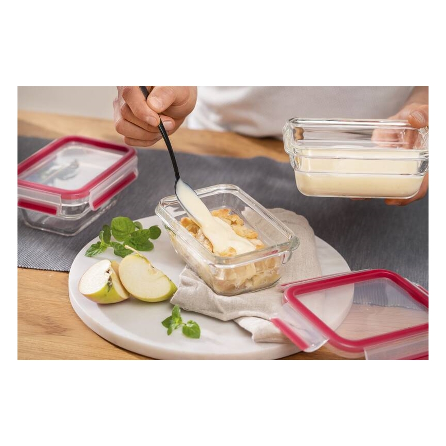 Tefal - Maisto indelis 0,45 l MSEAL GLASS raudonas/stiklas