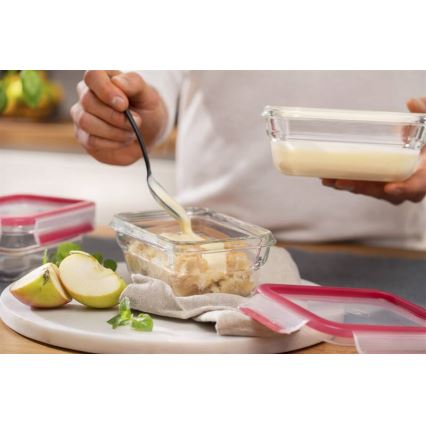 Tefal - Maisto indelis 0,45 l MSEAL GLASS raudonas/stiklas