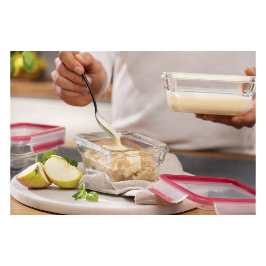 Tefal - Maisto indelis 0,45 l MSEAL GLASS raudonas/stiklas