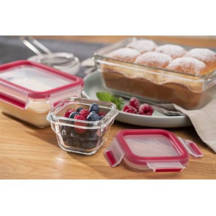 Tefal - Maisto indelis 0,45 l MSEAL GLASS raudonas/stiklas