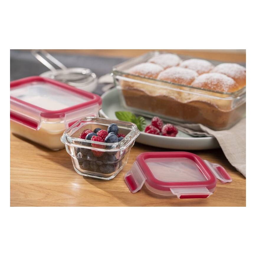 Tefal - Maisto indelis 0,45 l MSEAL GLASS raudonas/stiklas