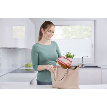 Tefal - Maisto indelis 0,85 l MSEAL GLASS raudonas/stiklas