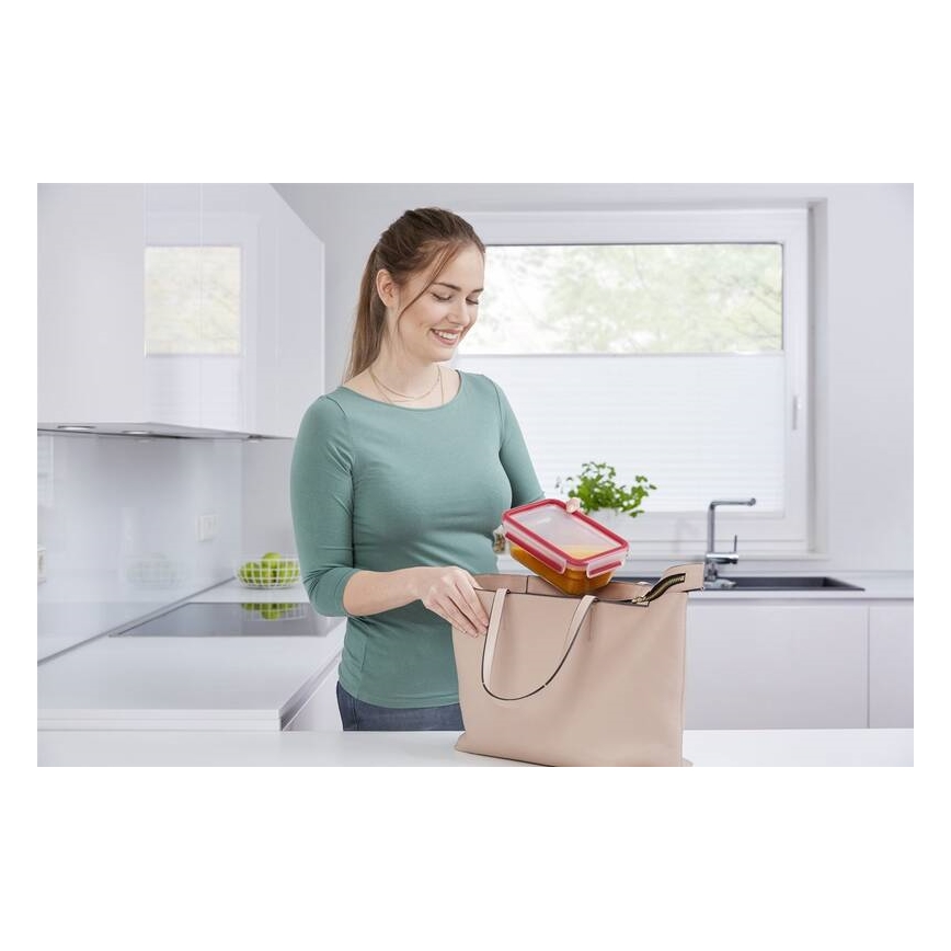 Tefal - Maisto indelis 0,85 l MSEAL GLASS raudonas/stiklas