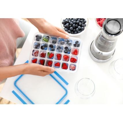 Tefal – MASTER SEAL ledo kubelių forma, 24 kubelių, mėlyna