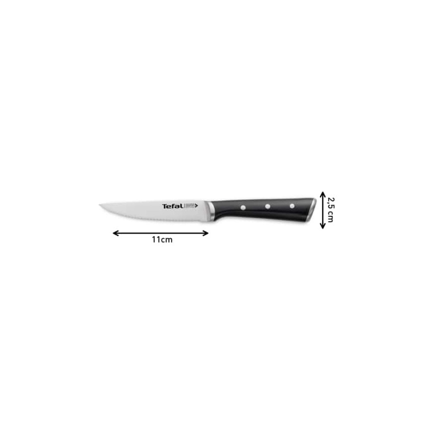 Tefal - Nerūdijančio plieno kepsnių peilių komplektas ICE FORCE 11 cm blizgus chromas/juodas 4 vnt.