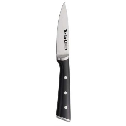 Tefal - Nerūdijančio plieno raižybos peilis ICE FORCE 9 cm blizgus chromas/juoda