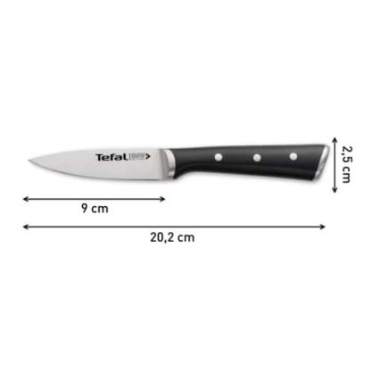 Tefal - Nerūdijančio plieno raižybos peilis ICE FORCE 9 cm blizgus chromas/juoda