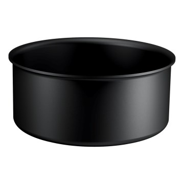 Tefal - Prikaistuvis INGENIO Excellence Fusion 20 cm