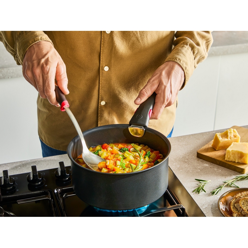 Tefal - Prikaistuvis INGENIO Excellence Fusion 20 cm