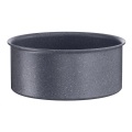 Tefal - Prikaistuvis INGENIO NATURAL FORCE 20 cm