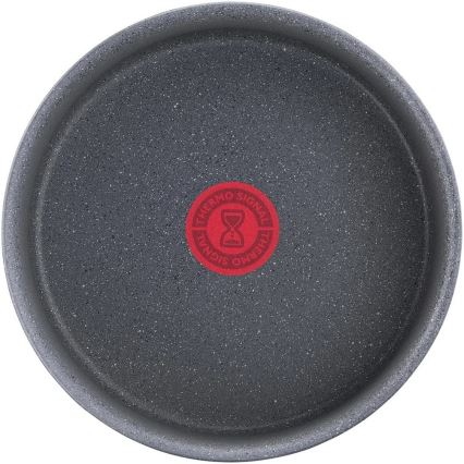 Tefal - Prikaistuvis INGENIO NATURAL FORCE 20 cm