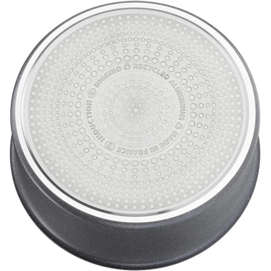 Tefal - Prikaistuvis INGENIO NATURAL FORCE 20 cm