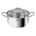 Tefal - Puodas su dangčiu INTUITION 20 cm