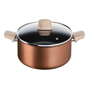 Tefal - Puodas su dangčiu RESPECT skersmuo 24 cm