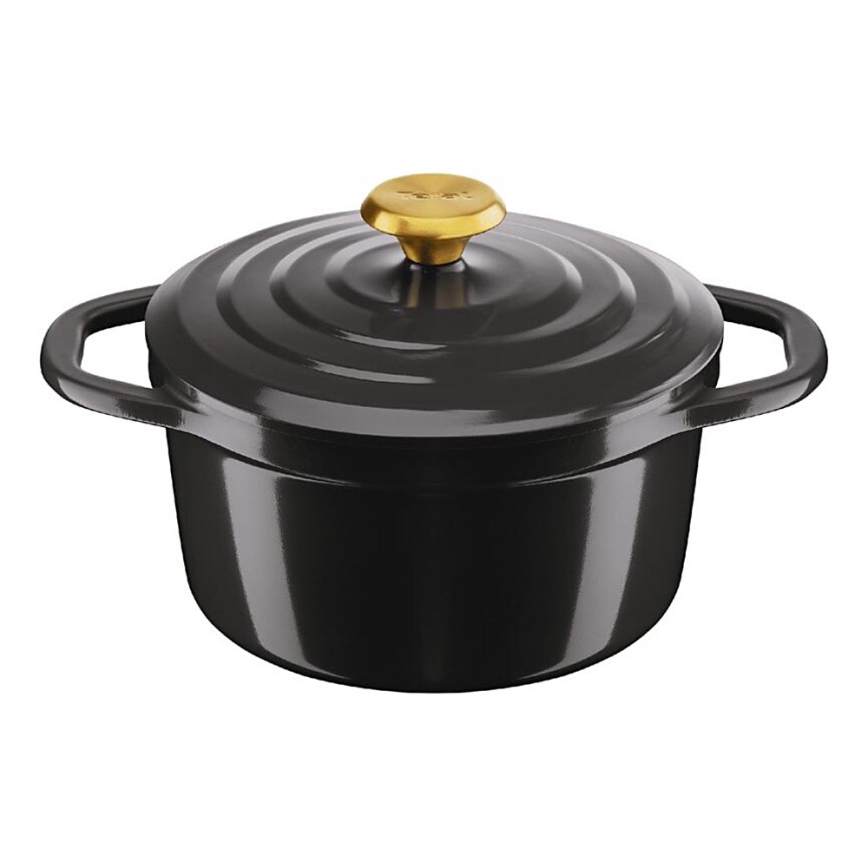 Tefal - Puodas su dangteliu AIR 20 cm antracitas