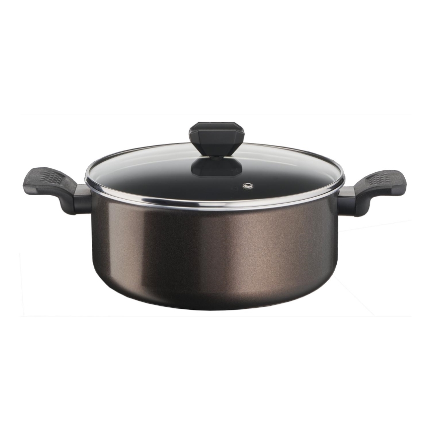 Tefal - Puodas su dangteliu EASY COOK&CLEAN 24 cm