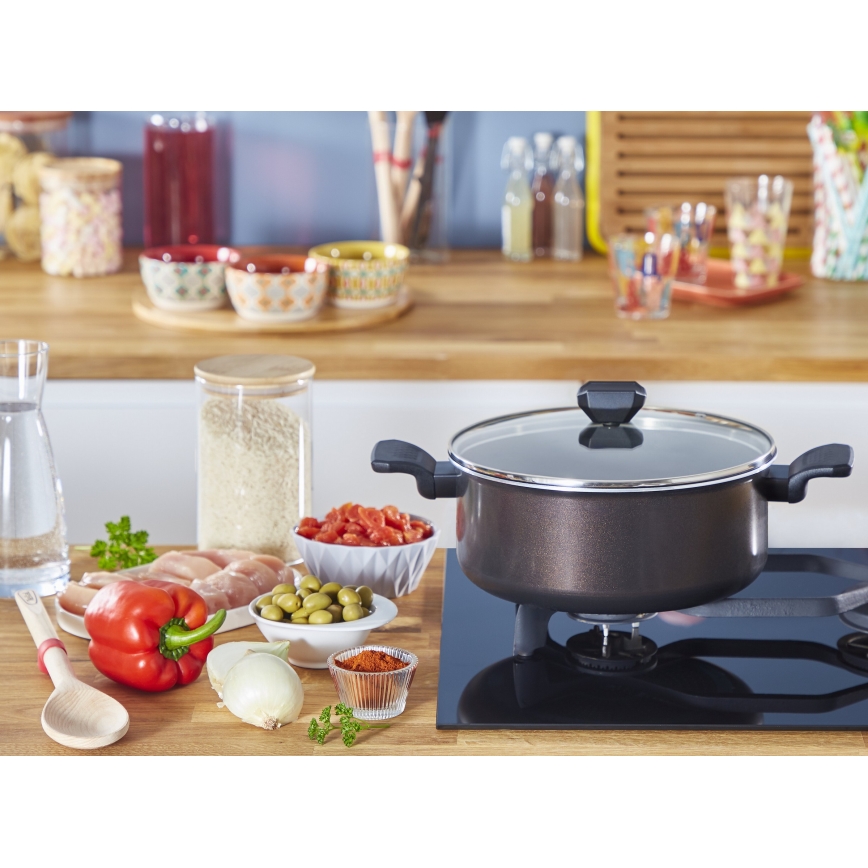 Tefal - Puodas su dangteliu EASY COOK&CLEAN 24 cm