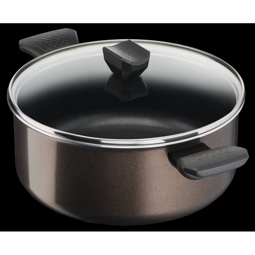 Tefal - Puodas su dangteliu EASY COOK&CLEAN 24 cm