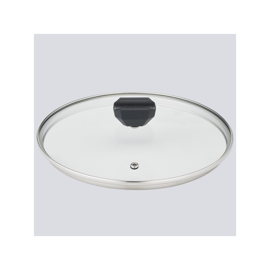 Tefal - Puodas su dangteliu EASY COOK&CLEAN 24 cm